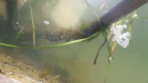 Яхт клуб 26. Солнечнодольск. Новотроицкое водохранилище 2020