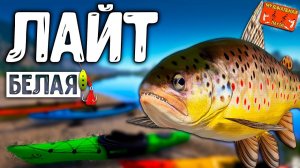 РР4/ рыбалка для души, ловим как универсал, общаемся 19.06.24