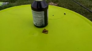 Капля на червя и опарыша сразу поклевка. Аптечные капли для рыбалки на карася и всю рыбу осенью.