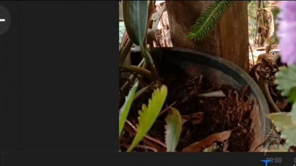 PowerDirector Pro Mod Apk full Unlocked