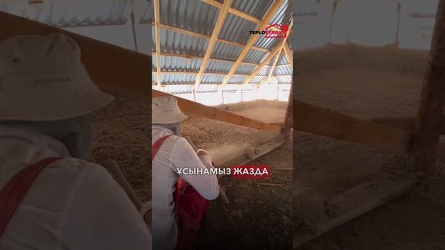 ПЕНОБЕТОН ШЫМКЕНТ | ЭКОВАТА ШЫМКЕНТ | УТЕПЛЕНИЕ КРЫШИ | 8 708 511 55 55 смотреть онлайн