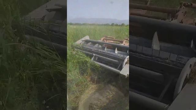 Нурасыл Казакстан смотреть онлайн