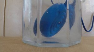 Ультразвуковая стиральная машинка БИОСОНИК