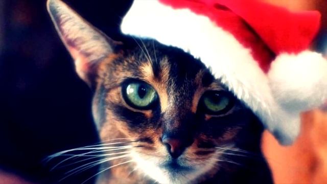 Новгодняя музыка 2022 | Christmas Playlist 2022