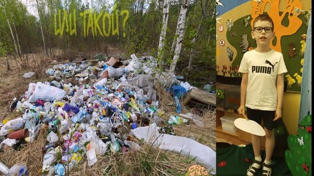 Экология Жизни