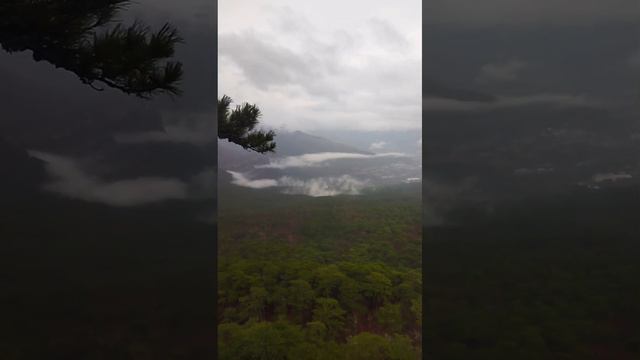 VID серебренная беседка смотреть онлайн