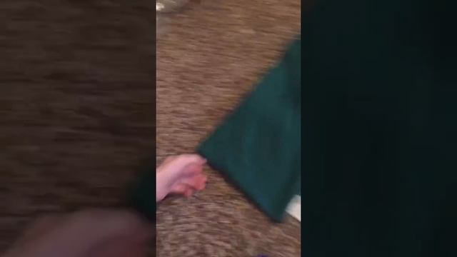 Сон и Удобство