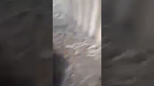 Щенки в добрые руки г. Казань смотреть онлайн