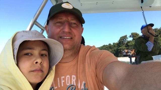 Абхазия, Пицунда 2022 дельфины смотреть онлайн