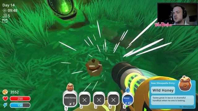 🌴 DŻUNGLA I ŚWIĄTYNIA 🕍 SLIME RANCHER #9 | GAMEPLAY | PC | смотреть онлайн