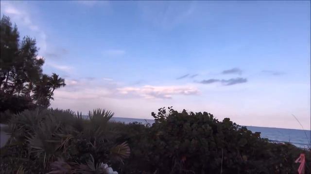 Из Англии пишут ! Люди тупеют ! Советы Ленина вдруг стали полезны ! Америка аме смотреть онлайн