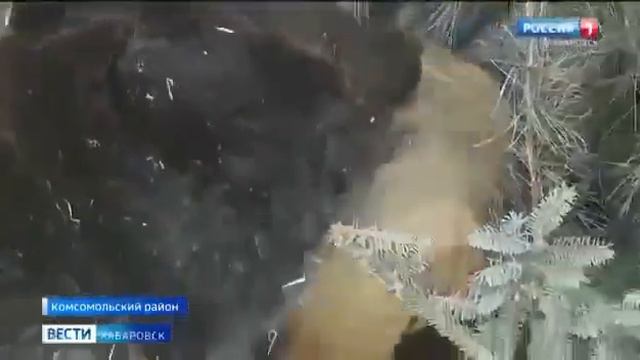 14 февраля 2023 г.