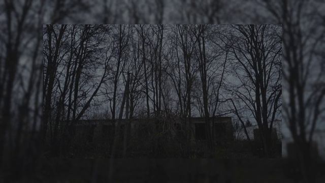 velial squad - pulsar (speed up) смотреть онлайн