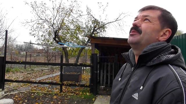 Рассказ Виталия - как у него РАЗЛЕТЕЛИСЬ ВСЕ голуби❗ смотреть онлайн