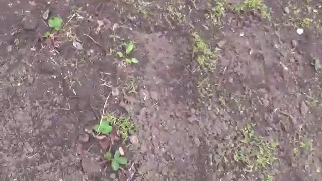 Смешной получился КУЗЯ. Скоро Троица!!! смотреть онлайн