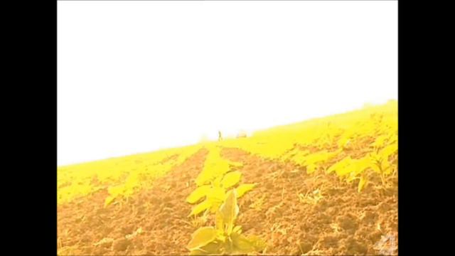 Space - Carry On, Turn Me On смотреть онлайн