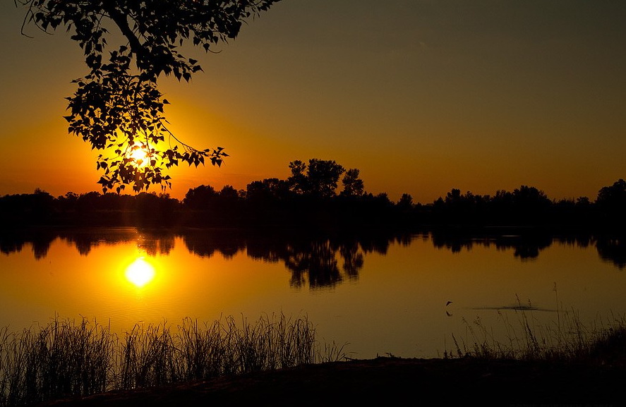 Умиротворённость