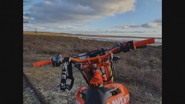 Рыжий))). AVANTIS A2 250 (оранжевый).mp4 смотреть онлайн