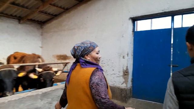 Красная степная уйлары смотреть онлайн