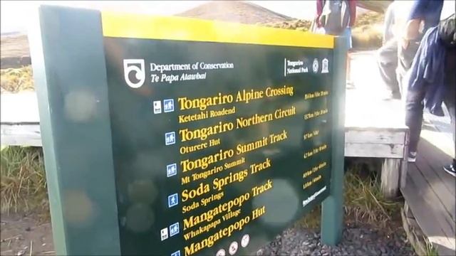 New Zealand - Tauranga смотреть онлайн