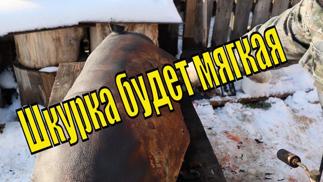 Правильный обжиг СВИНЬИ по зонам туши Чтобы не сжечь и шкурка стала вкусная смотреть онлайн