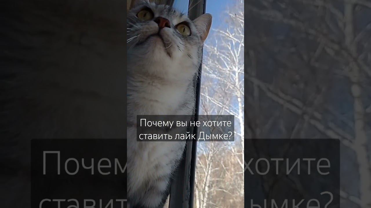12 мая 2024 г. смотреть онлайн
