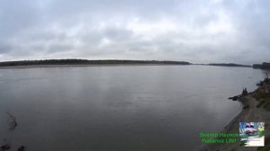 РЫБАЛКА САЗАН,СУДАК,ОКУНЬ НА РЕКЕ ОБЬ АЛТАЙСКОГО КРАЯ!!!!!ЧАСТЬ 2.Carp fishing.