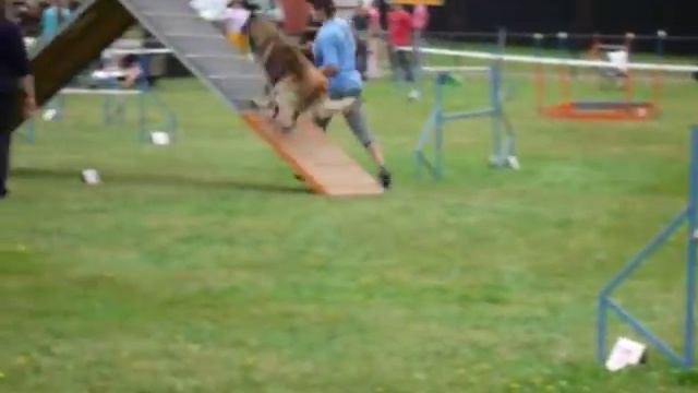 Zakína - Babí léto II. MOV смотреть онлайн