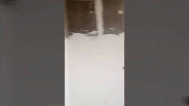 Строим дом в Сочи из ЦСП смотреть онлайн