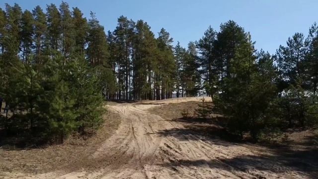 ЛЕСНОЙ ПЕРВОМАЙ! Найдём подснежники в сосновом бору за Волгой! смотреть онлайн