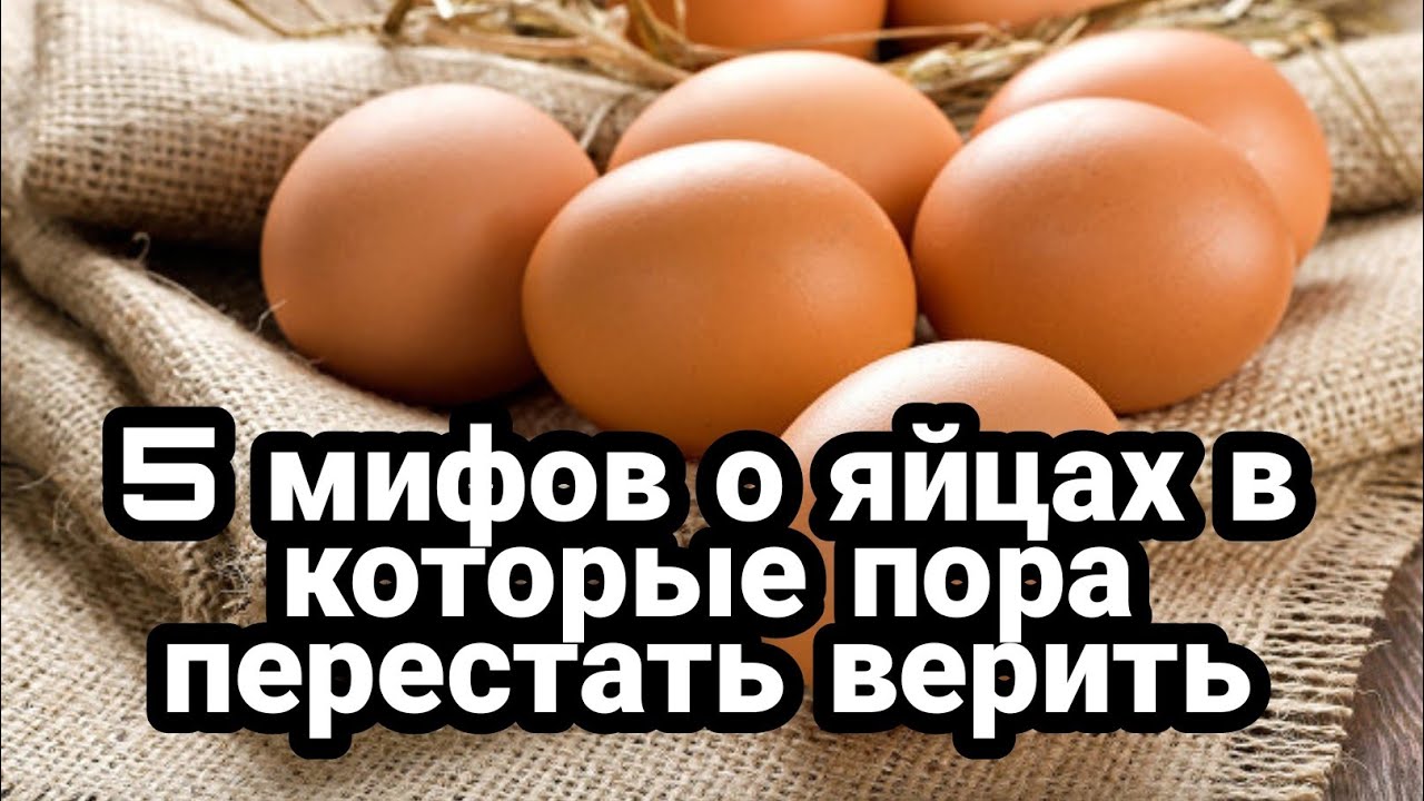 5 мифов о яйцах в которые пора перестать верить смотреть онлайн