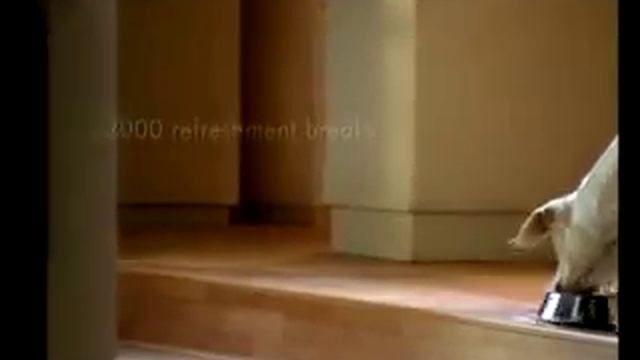 Pergo 2.flv смотреть онлайн