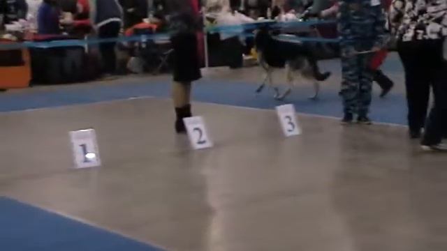 MOV037 сравнение на ЛЮ 2 1 смотреть онлайн