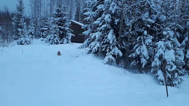 мой ласковый и нежный зверь смотреть онлайн