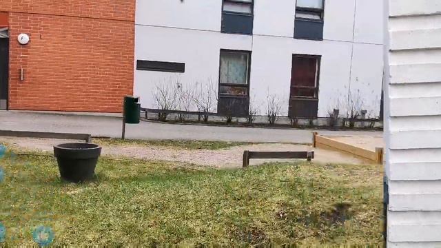 ЧЕЛЛЕНДЖ В ХЕЛЬСИНКИ МИШКИ ИГРУШКИ НА ОКНАХ СОЛИДАРНОСТЬ ЛЮДЕЙ ВО ВРЕМЯ КОРОНА ВИРУСА. ФИНЛЯНДИЯ