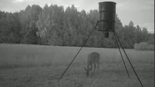 MDGC0132 смотреть онлайн