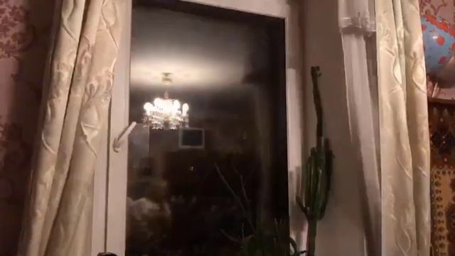 Отзыв о компании Окна от Природы: что стало с нашим окном через 10 лет эксплуатации? смотреть онлайн