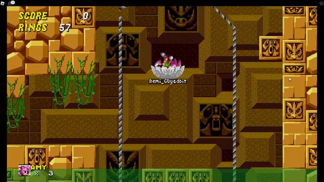 CSS Labyrinth Zone Act 1 (With Amy) смотреть онлайн