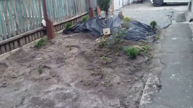 Зафонтанило) смотреть онлайн