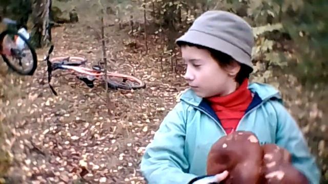 Боровичек. Очеровательная парочка. смотреть онлайн