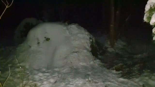 24.?МЕСЯЦ ВЫЖИВАНИЕ ЗИМОЙ В Лесу _ в ДИКОЙ ПРИРОДЕ БЕЗ НИЧЕГО _ АККУМУЛЯТОР _ СТРОИТЕЛЬСТВО _ ТЕПЛО смотреть онлайн