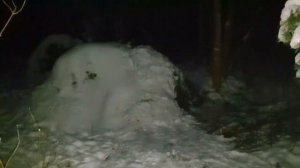 24.?МЕСЯЦ ВЫЖИВАНИЕ ЗИМОЙ В Лесу _ в ДИКОЙ ПРИРОДЕ БЕЗ НИЧЕГО _ АККУМУЛЯТОР _ СТРОИТЕЛЬСТВО _ ТЕПЛО