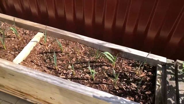 Garden Update & Chiminea смотреть онлайн