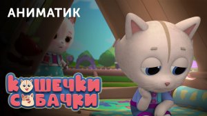 Этапы производства 115-й серии мультсериала «КОШЕЧКИ-СОБАЧКИ» | Студия «Паровоз»