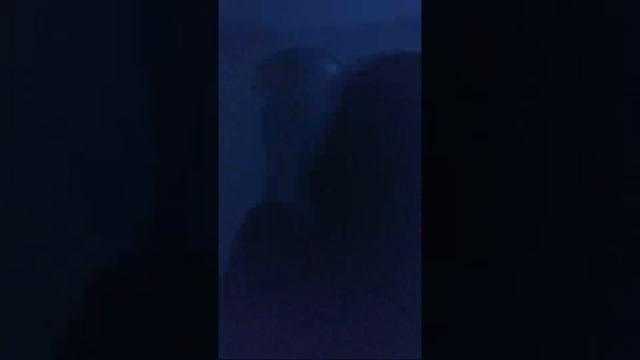 Босс Молокосос смотреть онлайн