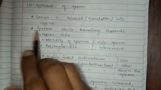 Toppers academy Class XII Biology смотреть онлайн