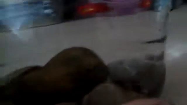 DIY: как сделать море в банке на рабочий стол! смотреть онлайн