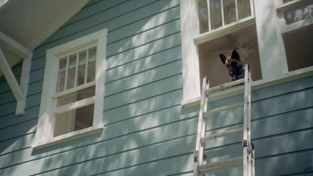 Робопёс - Русский трейлер (HD) смотреть онлайн