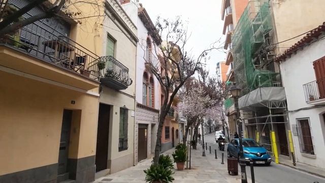 Весна уже пришла? Гуляем по Бланесу с гостями из Германии | Жизнь в Испании смотреть онлайн