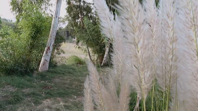 Letter to my daughter Emma in future (Part 1) | Life is a series of choices. смотреть онлайн